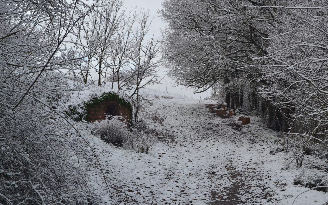 Nieve en el camino