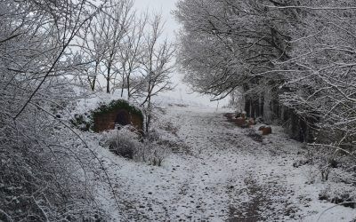 Nieve en el camino