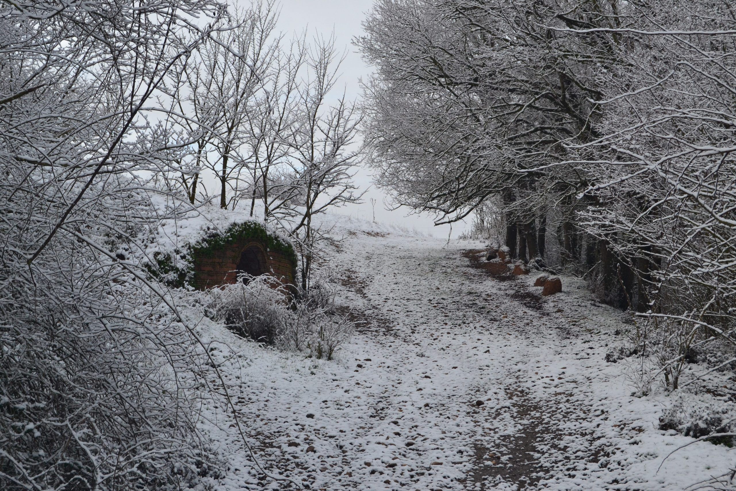 nieve
